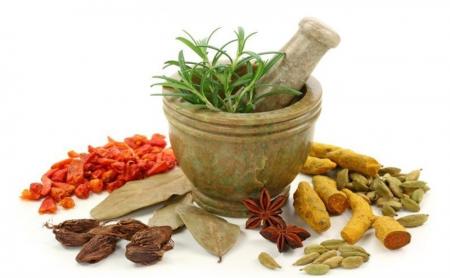 با خواص این گیاه فوق العاده آشنا شوید