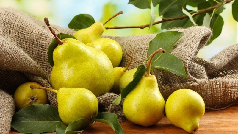 میوه‌ای برای تقویت معده و درمان یبوست 