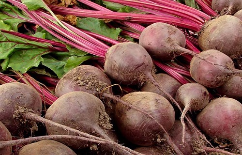 گیاهی برای نابودی سرطان