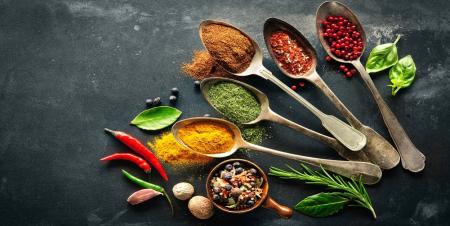  دایرةالمعارف طب سنتی علم‌ الادویه رونمایی شد 