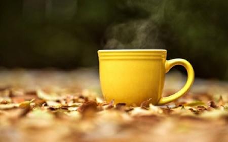 با داروهای طبیعی ضد استرس در فصل پاییز آشنا شوید