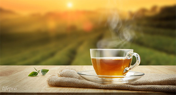 این گیاه خوش عطر، سنگ کلیه را می‌شکند 