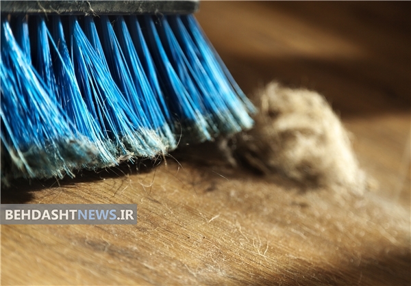 بیشترین گرد و غبار خانگی مربوط به چیست؟