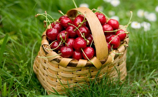 سلاح‌های گیاهی برای مبارزه با نقرس