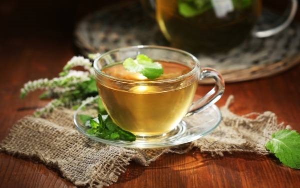  پونه کوهی یک آنتی بیوتیک قوی + طرزتهیه 