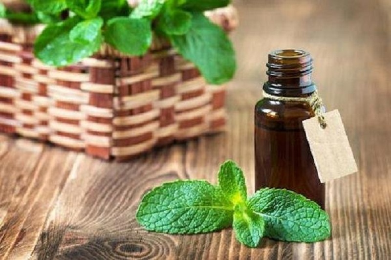  خواص پونه کوهی چیست؟