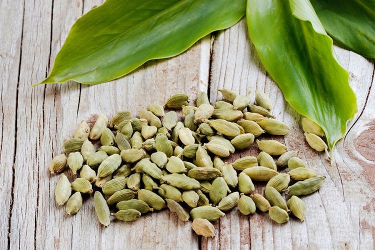 کنترل قندخون خود را با دانه ای بی نظیر دردست بگیرید 