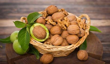  خواص عجیب گردو 