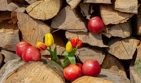 میوه ای که در درمان سردرد معجزه می کند 