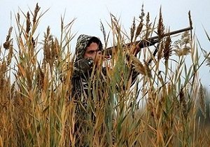 صدور 2000 مجوز شکار پرنده، علمی یا عشقی؟