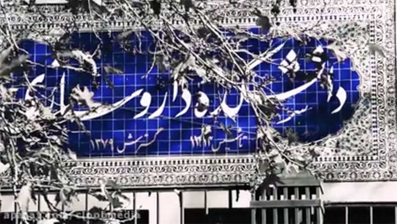 حمله به مهناز افشار در خیابان پورسینا تهران! + فیلم