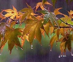 کاهش 10 درجه‌ای دما در تعدادی از استان‌ها