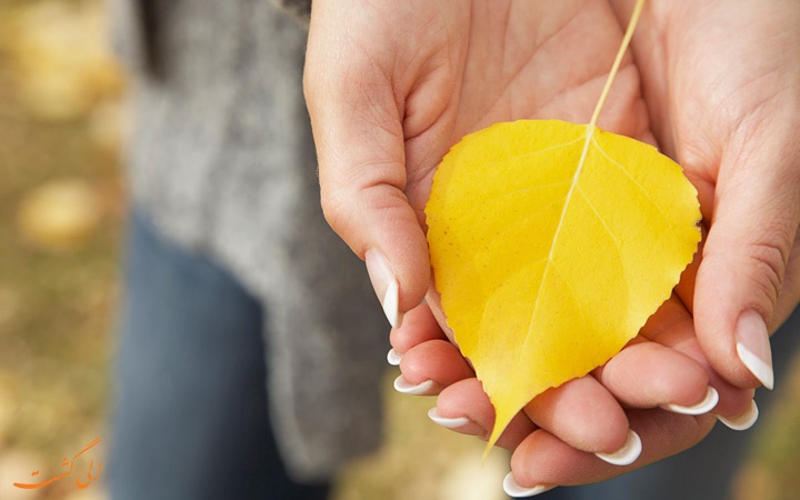 چگونه زندگی خود را در یک روز تغییر دهیم؟