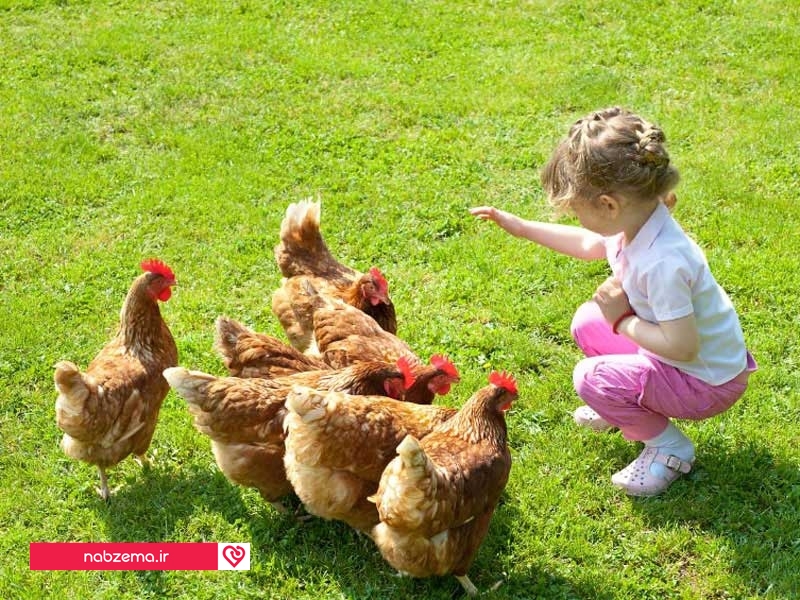 چطور مانع طبیعت آزاری کودک شوم؟