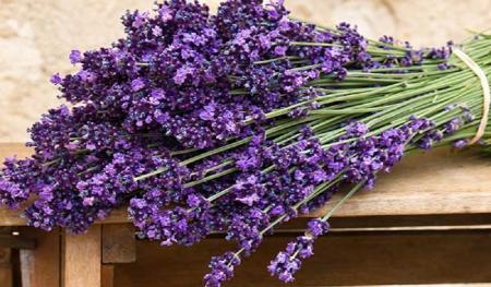 ازین دمنوشها برای رفع خستگی استفاده کنید