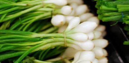  فواید شگفت انگیز پیازچه برای سلامتی+ اینفوگرافی