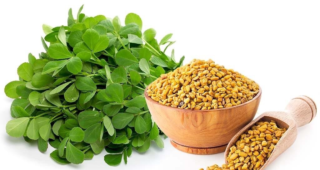 خواص اعجاب انگیز دانه شنبلیله