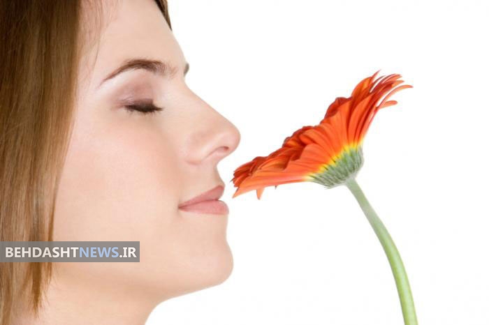 از بین رفتن حس بویایی در زندگی مدرن
