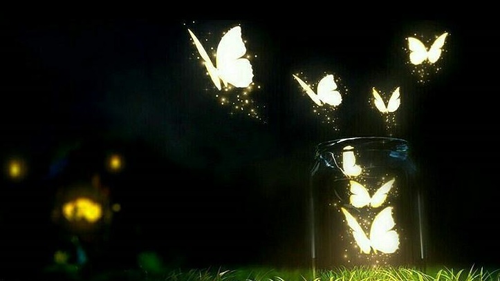  خوشبخت حقیقی از منظر حضرت فاطمه(س) 