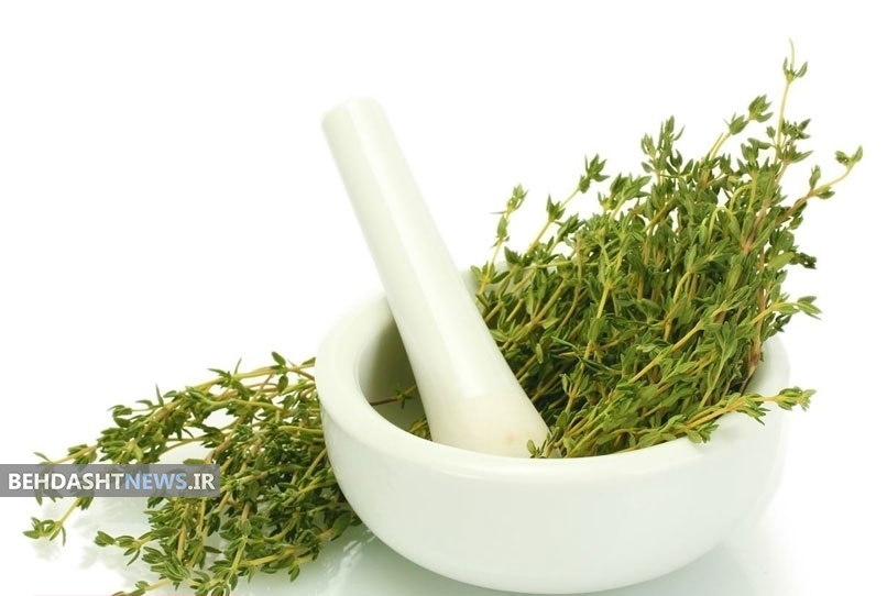 با آویشن سرحال و شاداب شوید