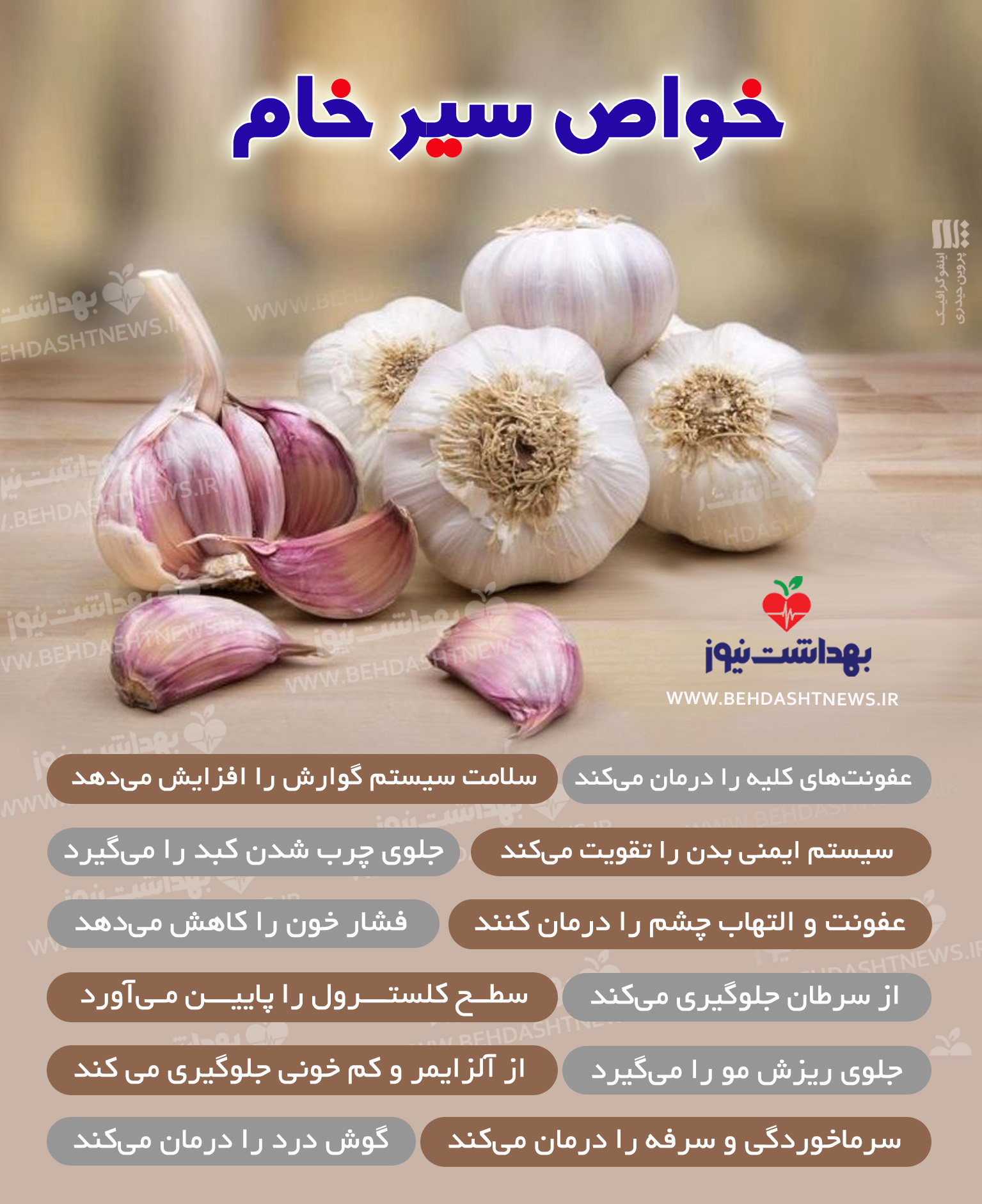 خواص سیر خام | بهداشت نیوز