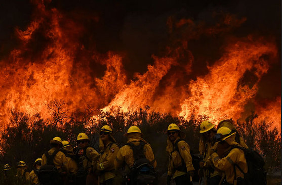جدال با آتش در جنگل های ایالت کالیفرنیا آمریکا + عکس - تلگرام آپ