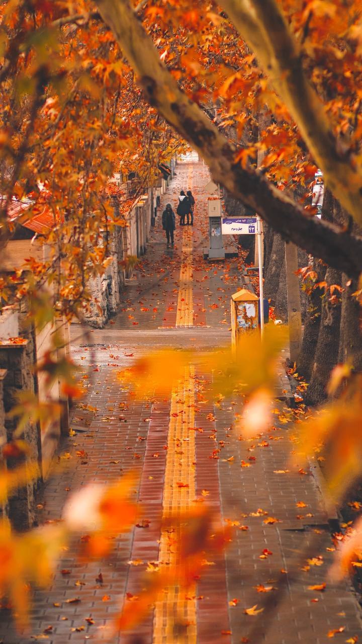 پاییز در ارومیه زیبا + عکس - تلگرام آپ