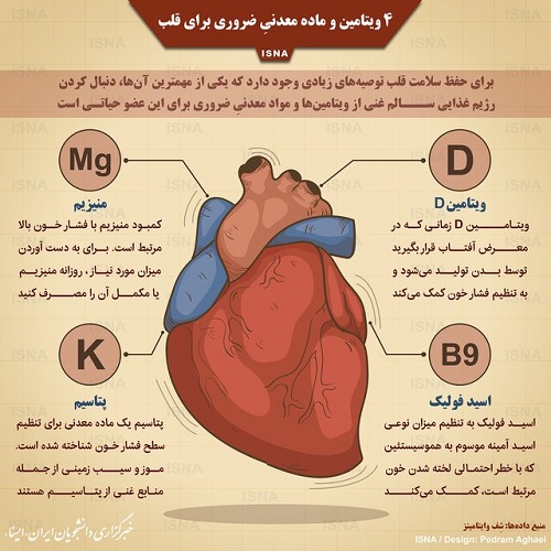 چند ویتامین حیاتی برای سلامت قلب+اینفوگرافیک - تلگرام آپ