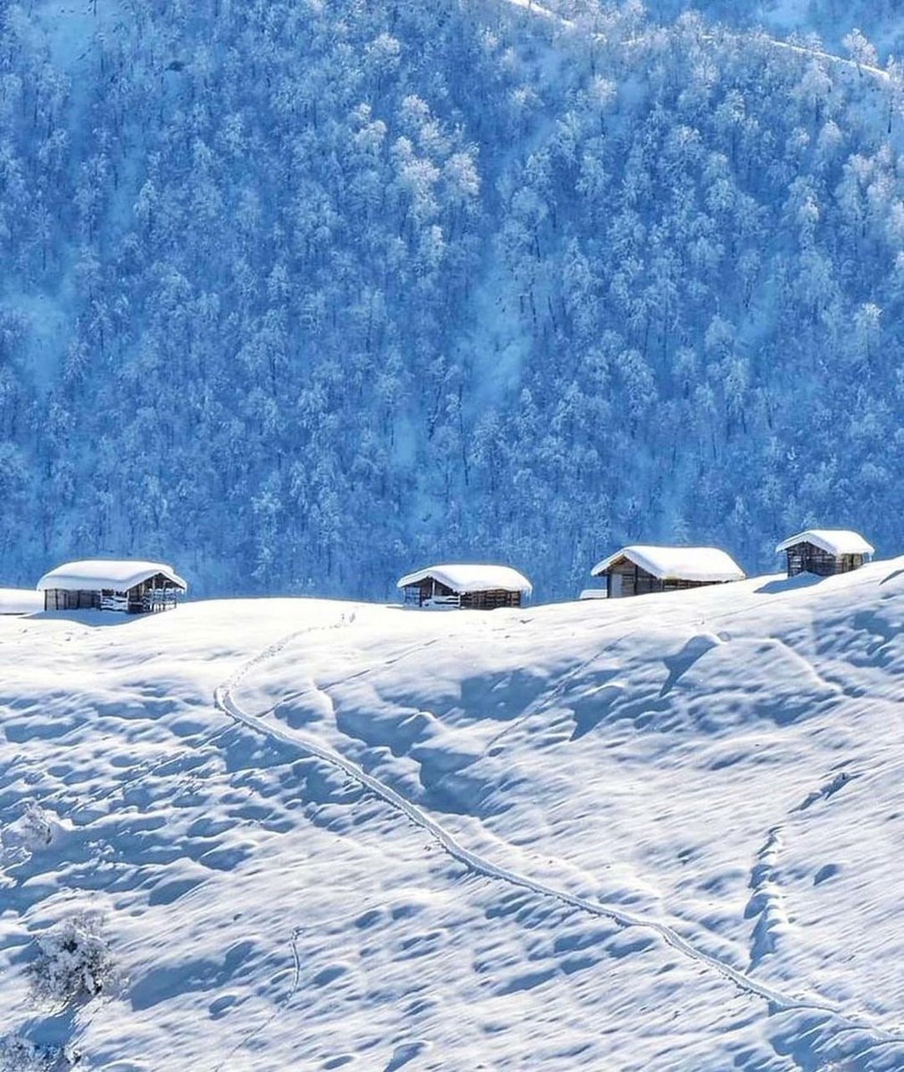 دلربایی زمستان در ارتفاعات «ماسال» گیلان + عکس - تلگرام آپ