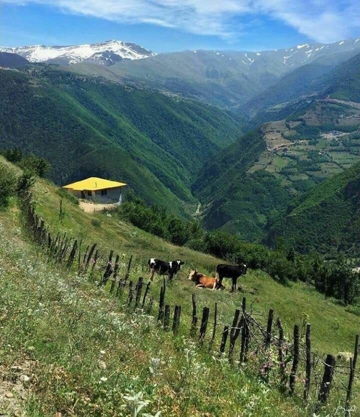 نمایی زیبا از روستای ایزکی شهرستان رامسر + عکس - تلگرام آپ